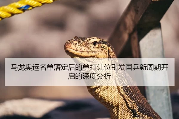 马龙奥运名单落定后的单打让位引发国乒新周期开启的深度分析
