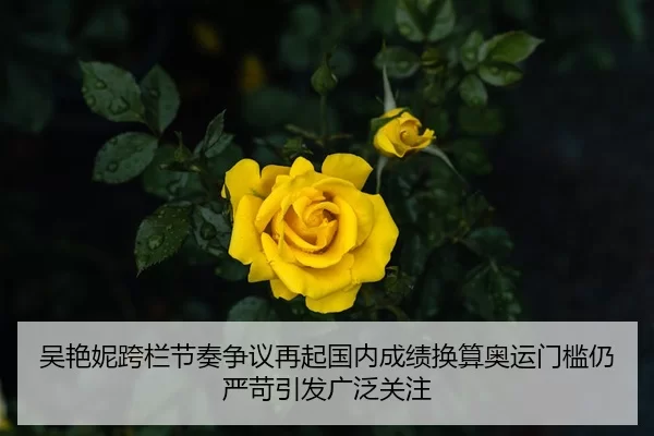 吴艳妮跨栏节奏争议再起国内成绩换算奥运门槛仍严苛引发广泛关注