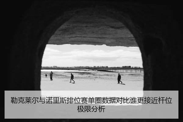 勒克莱尔与诺里斯排位赛单圈数据对比谁更接近杆位极限分析
